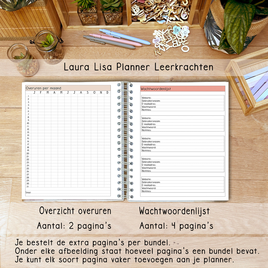 PRE-ORDER Laura Lisa halfjaarlijkse leerkrachten planner rusty 3