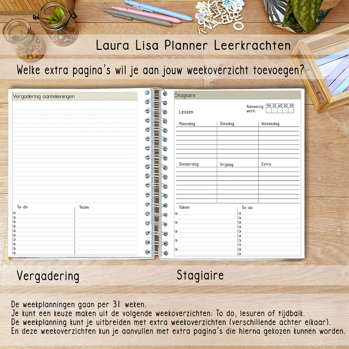 PRE-ORDER Laura Lisa halfjaarlijkse leerkrachten planner rusty 2